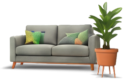 Sofa and home plants