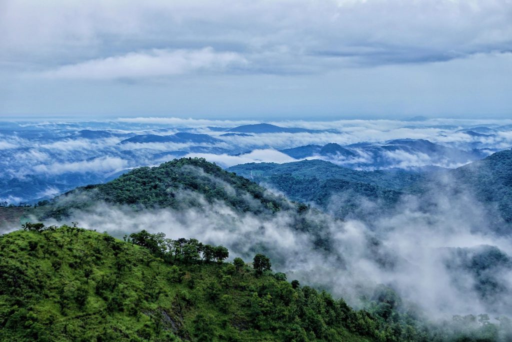 Wayanad’s natural beauty makes it one of the best holiday destinations in India.